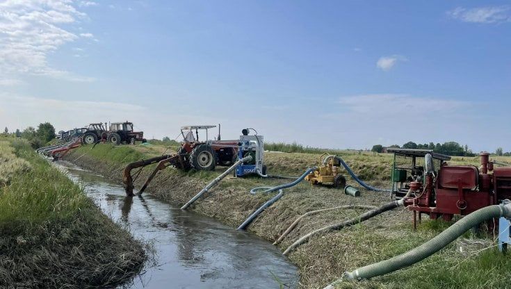  Viaggio nella Bassa Romagna, dove l'acqua è ancora putrida
