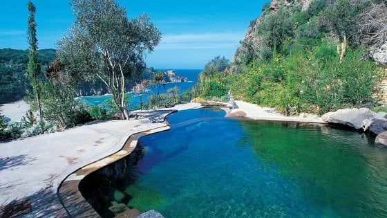 Ischia Safari: una parata di stelle della gastronomia per celebrare l'isola