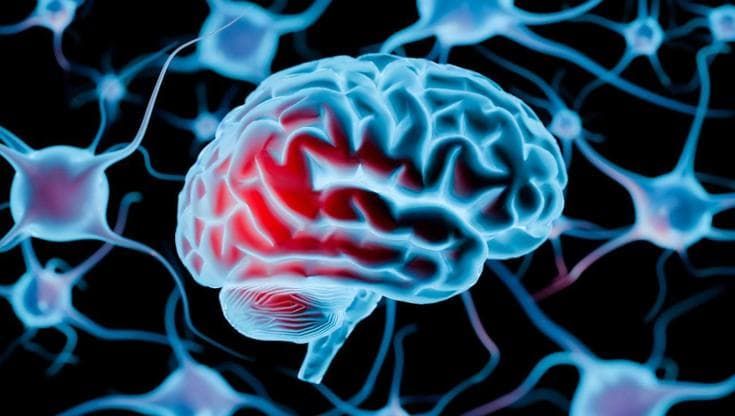 Esplorare il cervello con la luce: perché l'optogenetica ha meritato il Nobel