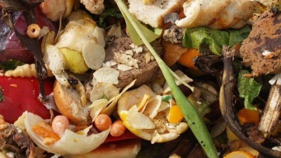 Dalla spesa agli avanzi, ecco le app anti-spreco