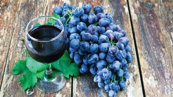 Nella cittadella dei saperi e dei sapori tra rock, letteratura, cinema e maratone gourmet