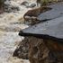 Maltempo, Italia sott'acqua: un morto, tre dispersi. Renzi: 