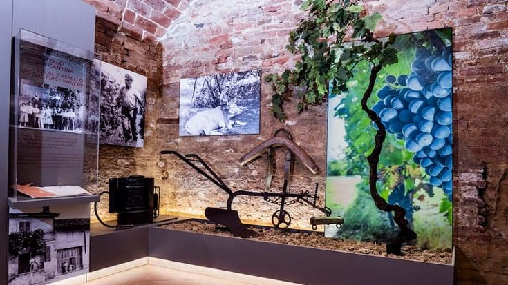 Il Monferrato punta sull’enoturismo: apre il Nuovo Museo del Ruchè