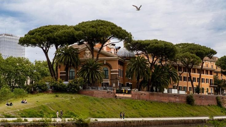 Tarquini: “Possibili sostituzioni con cipressi o tuie, troppi vivai tagliano le radici”