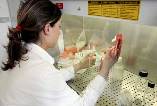 Distrofie muscolari, scoperta italiana<br />apre prospettive per nuove cure