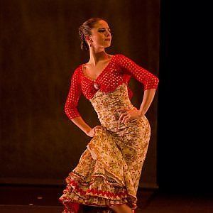 Festival del flamenco la danza di Sara Calero 