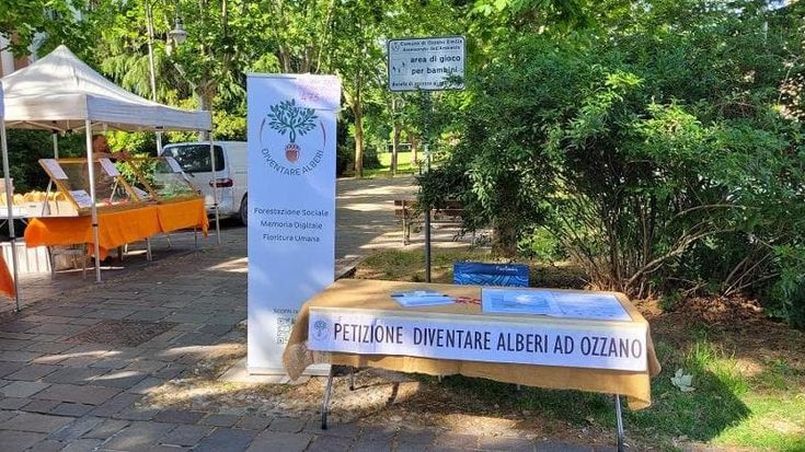 Alberi al posto delle lapidi: a Ozzano il cimitero diventa un bosco