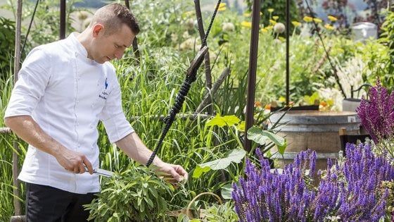 Sulle colline di Gavi un po' di Piemonte, un po' di mare e un po' di ragionata creatività