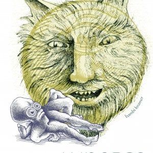 A Carinola la quattordicesima edizione del "Lunarte Festival"