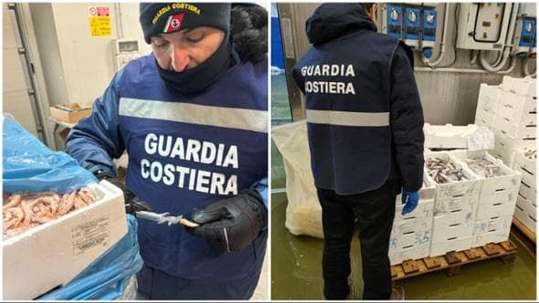 Oltre 9mila controlli della Guardia Costiera in Puglia: 64 denunce e sequestri anche nel Foggiano Oltre 9mila controlli della Guardia Costiera in Puglia: 64 denunce e sequestri anche nel Foggiano