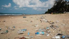 Scoperta un’alternativa alla plastica, studiando la canapa