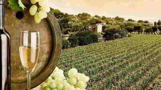 Città Europea del Vino, è festa per il Sannio Falanghina