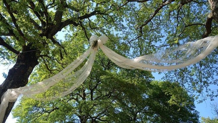 Due alberi sposi a Vetralla, il rito risale al 1470