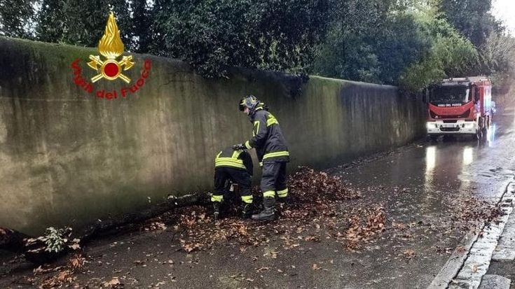 Cade il ramo di un albero e ferisce scooterista portata al pronto soccorso in codice giallo