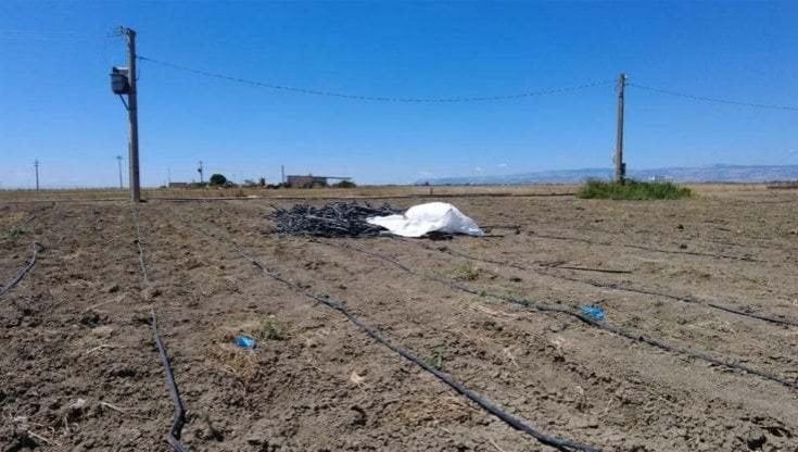 "Giuseppe non dico niente a nessuno": le ultime parole prima dell'omicidio di padre e figlio a Cerignola