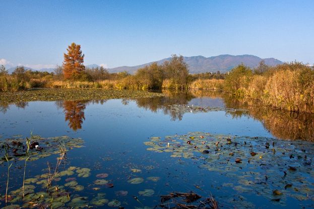 Lombardia, a spasso nel verde: ecco le oasi naturali dove staccare la spina