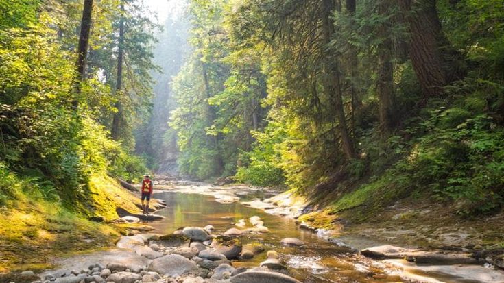 Tutelare la biodiversità: ecco perché è conveniente per il sistema Paese