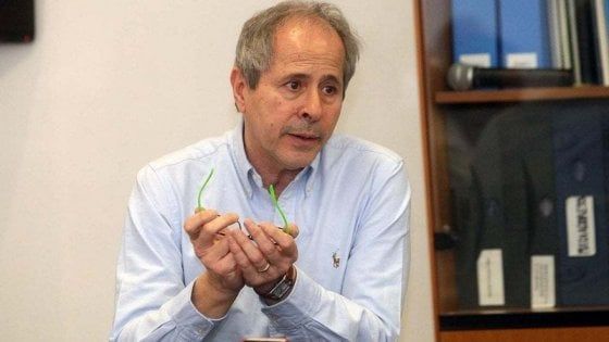 Il virologo Crisanti consulente della procura di Bergamo per l'inchiesta sulla mancata zona rossa