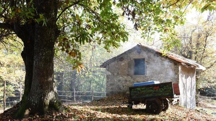 Tra sentieri nascosti e natura incontaminata: 10 meraviglie dell’Italia meno conosciuta