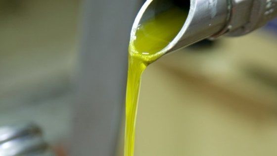 Sorrento: "Sirena d'oro", al via le selezioni per l'olio più buono d'Italia