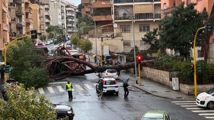 Maltempo, oltre dieci alberi caduti a Roma: auto danneggiate, colpito un bus alla Balduina