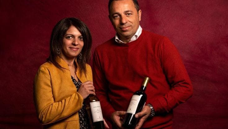 I grandi vini che nascono nella piana calabrese dove combattevano i guerrieri greci