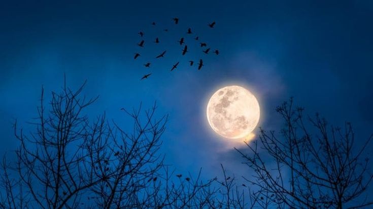 A Mirabilandia arriva l’Halloween più grande d’Italia