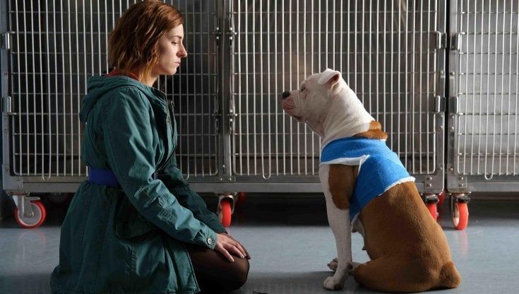 LuxVide, 30 anni di serie tv da 'La Bibbia' a 'Doc' 