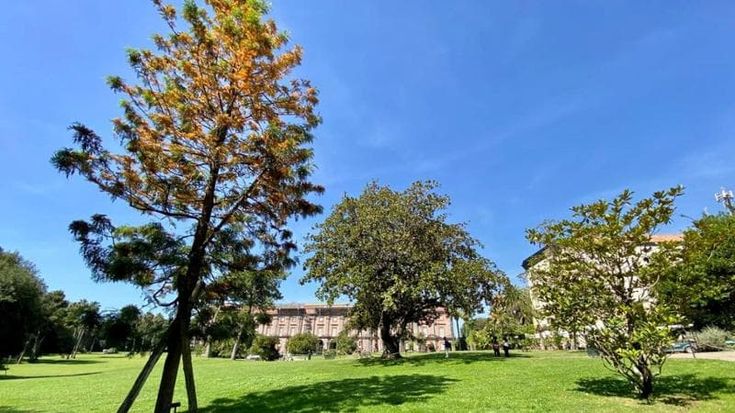 Riapre al pubblico il gioiello botanico di Capodimonte