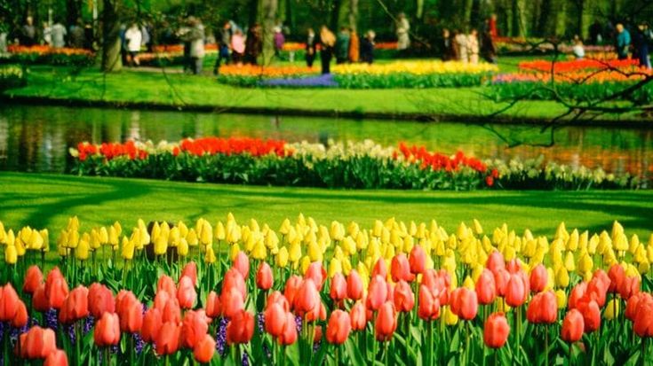 Fioriture, la top 10 mondiale di parchi e giardini da visitare in primavera