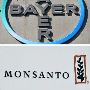 Bayer cancella il marchio Monsanto dopo le nozze da oltre 60 miliardi
