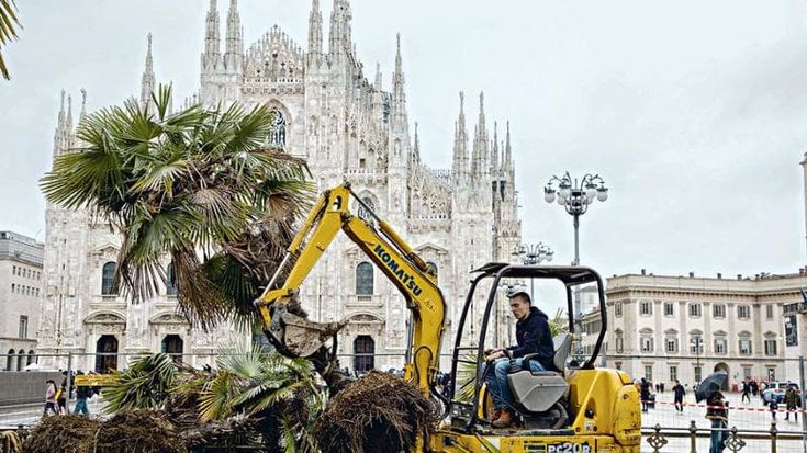 Il Comune di Milano studia un piano del verde per aumentare il numero di alberi in città