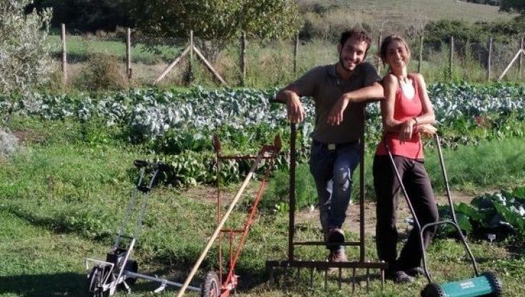 La sfida di Lorenzo Maggi a Martignano: "Il mio orto alternativo per battere la siccità"