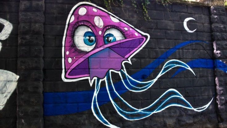 Milano, street art, Poli Urban Colors si sposta in Città Studi: 25 graffiti decorano il Campus Leonardo