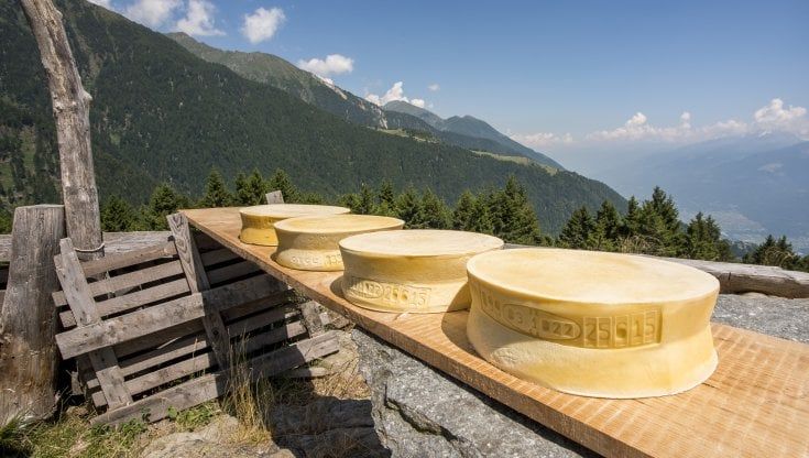 Valtellina, sette percorsi per scoprire i formaggi Casera e Bitto