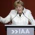Merkel alle case auto: 