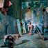 Oltre la street art, a Roma l'ex Caserma si anima con Outdoor Festival