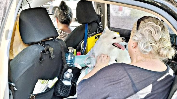 Pieve Emanuele, sorelle di 54 e 56 anni costrette a vivere in auto: “Così è disumano”