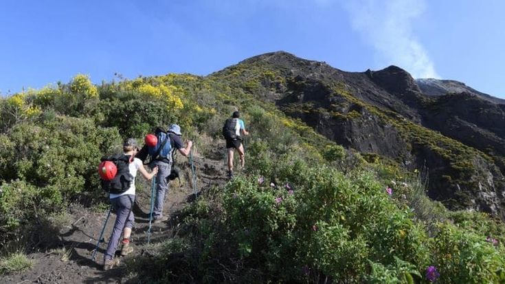Emergenza incendi, l’appello delle guide ambientali: “Un disastro che ci penalizza e rovina il racconto della Sicilia”