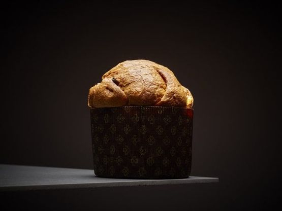 La carica dei panettoni: in pasticceria o dallo chef, classici o moderni ecco i 25 che abbiamo assaggiato