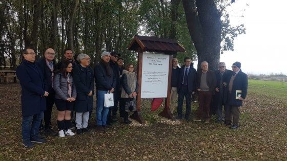 Intitolato a don Peppe Diana, bosco di cerri della Reggia di Carditello 