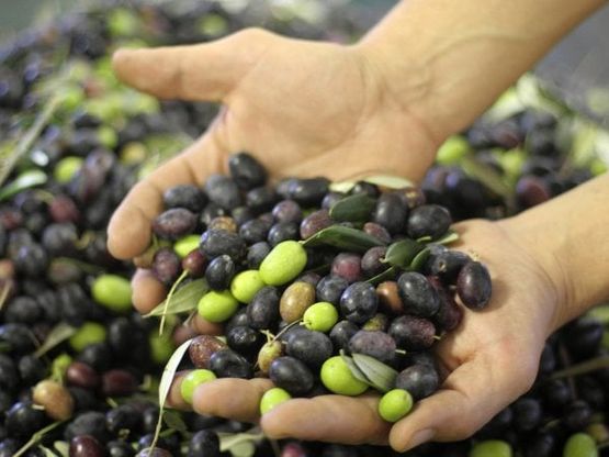 Biodiversità, si celebra la Giornata Mondiale. In Italia un patrimonio da difendere