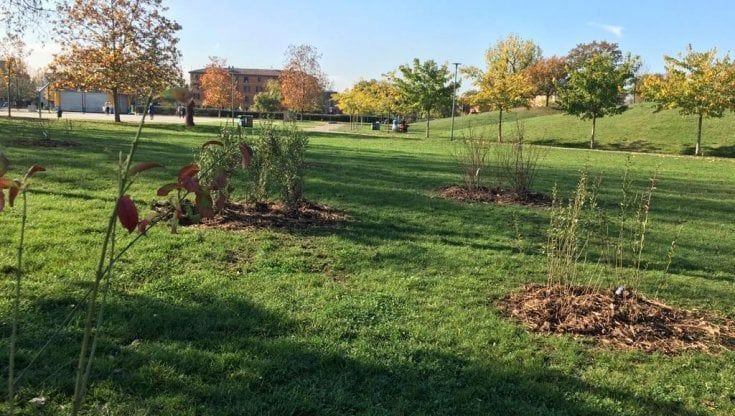 Cresce a Bologna il giardino fenologico: scoprite cos'è