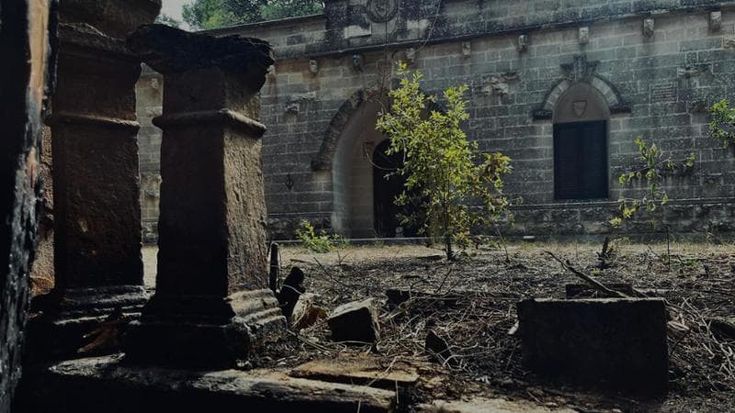Minacce e bellezze a fuoco, con i predoni del turismo la Selva di Fasano diventa oscura