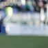 Italrugby, i 31 di O'Shea per il Mondiale: 