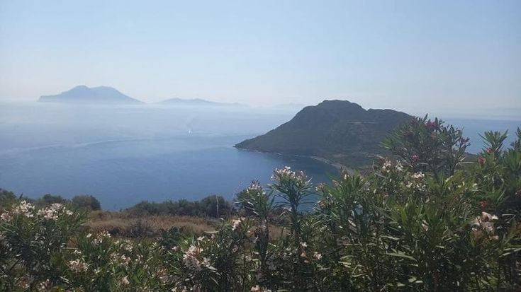 Tiziana ha vinto, resterà a scuola nella sua Filicudi