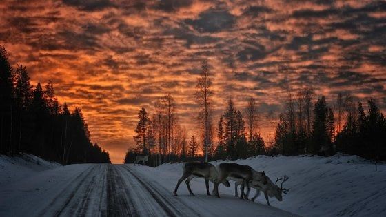 Il Natale è ancora più bello nella Svezia di Santa Claus