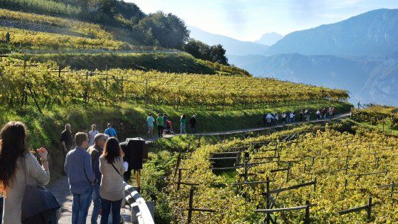 Tra vigne, mele, natura e storia. Trentino d'autunno