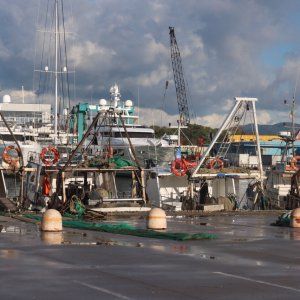 Maltempo a Viareggio, ritrovato affondato il peschereccio scomparso. Nessuna traccia dell'equipaggio 