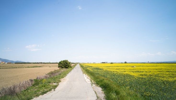 Sulla base militare a Coltano decisivi i prossimi giorni: riunione il 4 maggio 